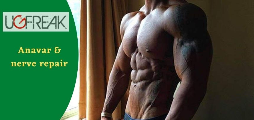 turinabol vs anavar