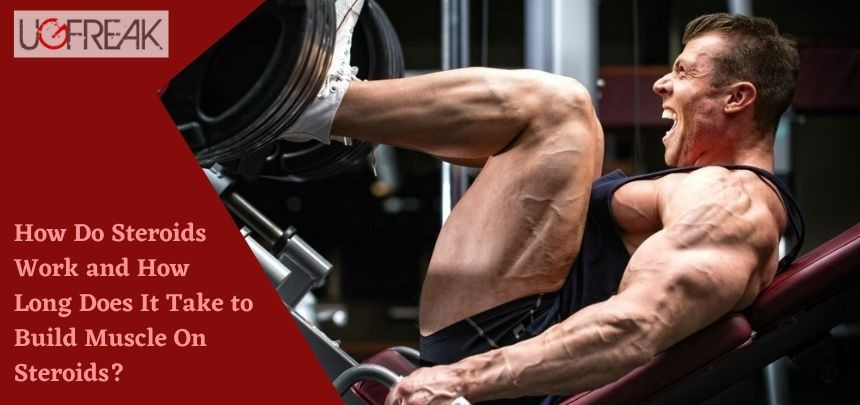 bodysolid leg press