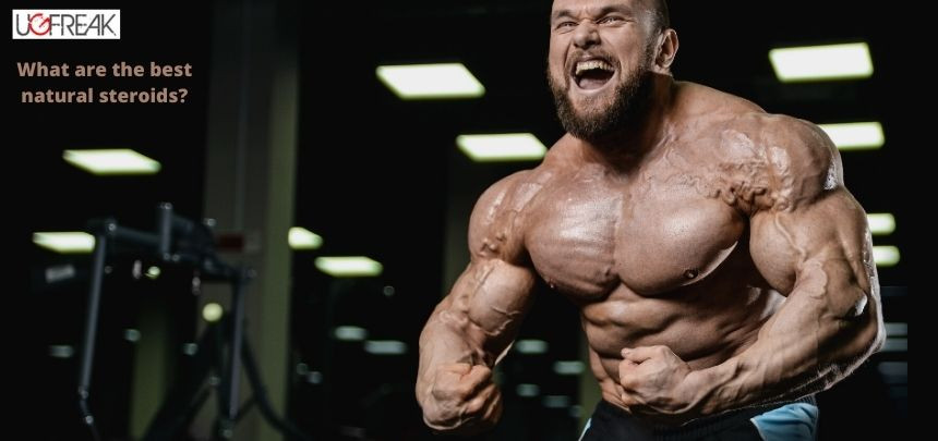 Ultima Steroids